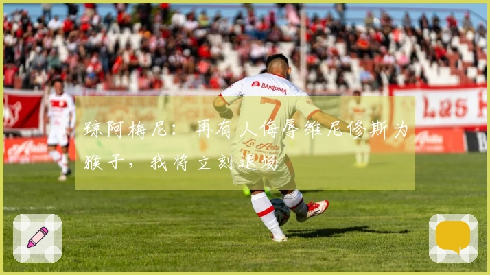 琼阿梅尼：再有人侮辱维尼修斯为猴子，我将立刻退场