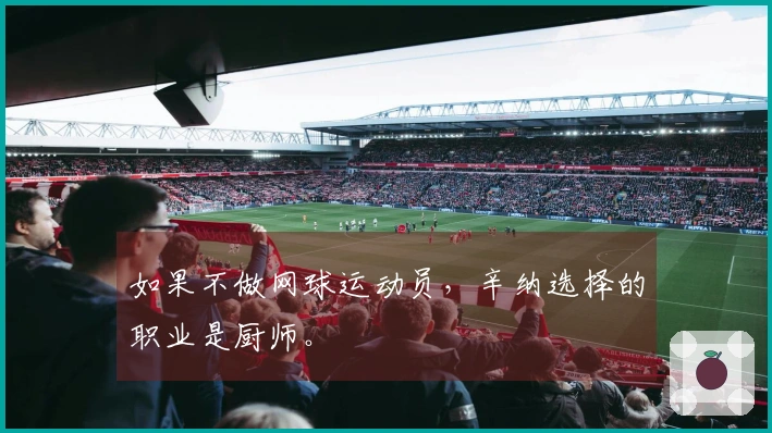 如果不做网球运动员，辛纳选择的职业是厨师。